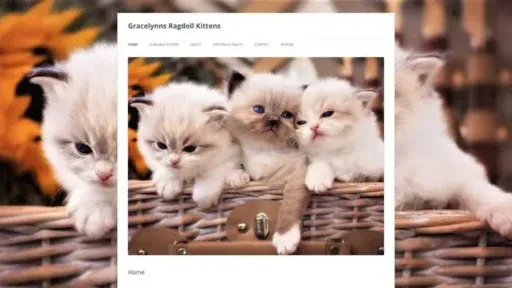 Screenshot of