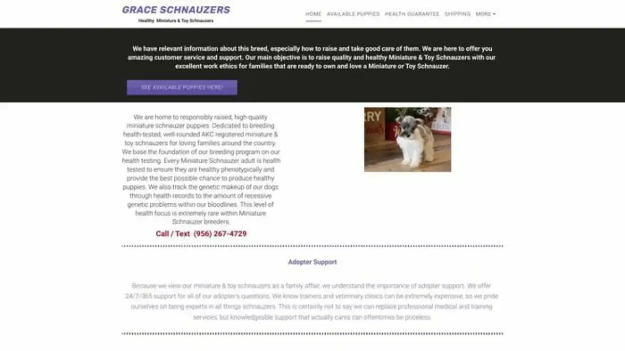 Graceschnauzers