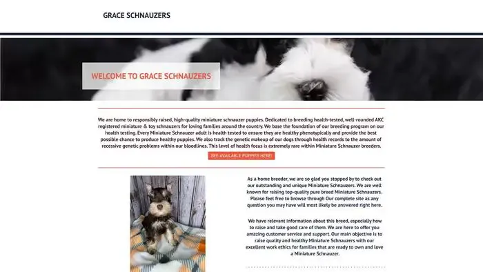 Screenshot of