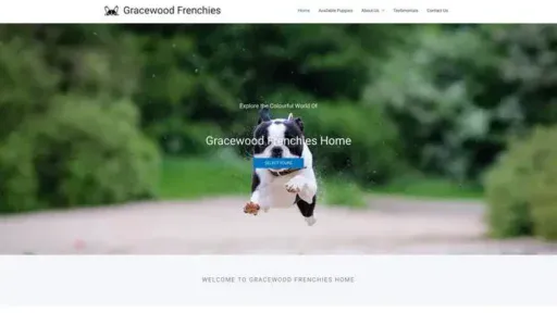 Screenshot of