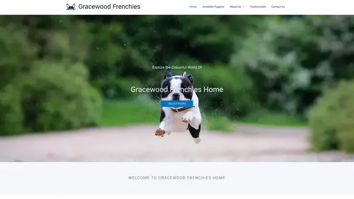 Screenshot of