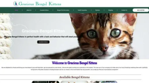 Screenshot of||