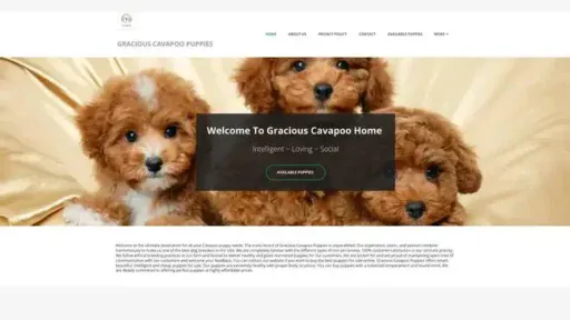 Screenshot of