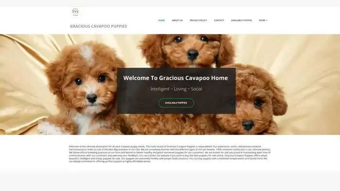 Screenshot of