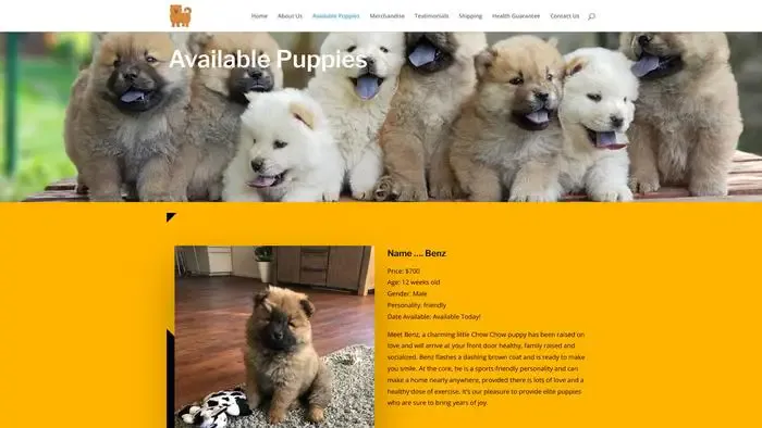 Screenshot of