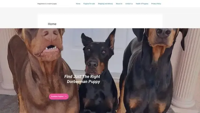 Screenshot of