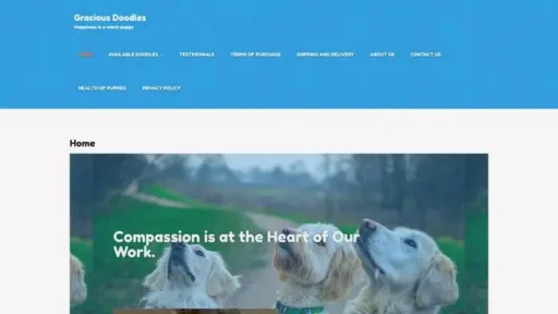 Screenshot of