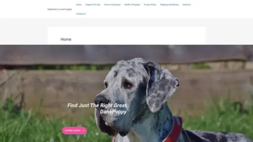 Screenshot of