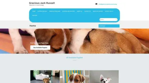 Screenshot of||