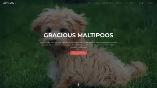Screenshot of