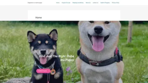 Screenshot of