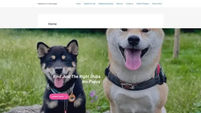 Screenshot of
