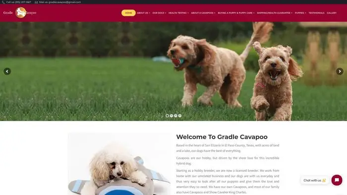 Screenshot of
