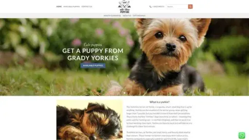 Screenshot of