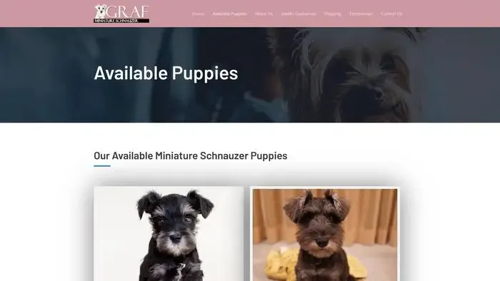 Screenshot of