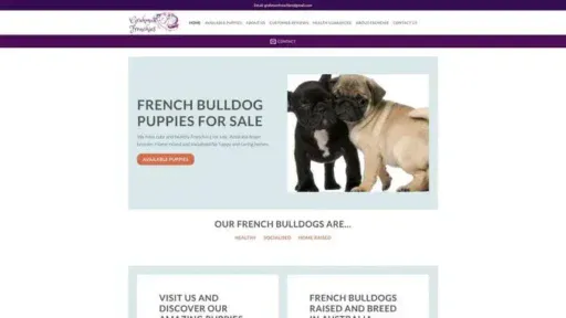 Screenshot of