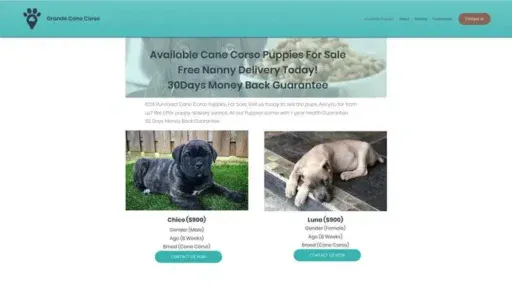 Screenshot of