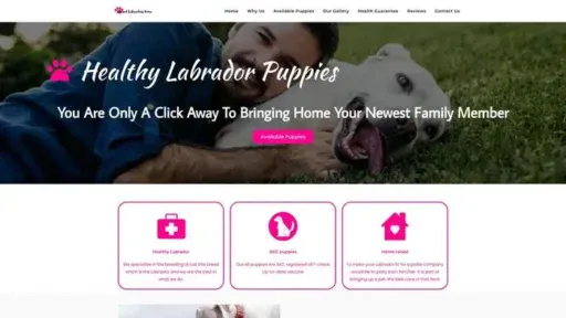 Screenshot of