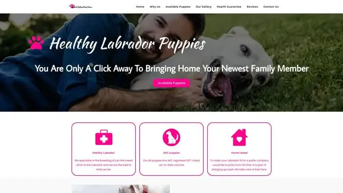 Screenshot of