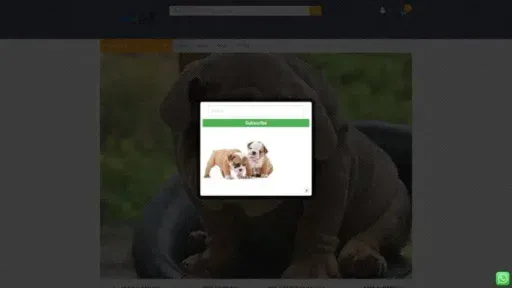 Screenshot of