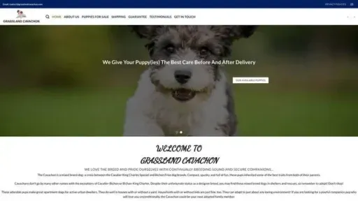 Screenshot of