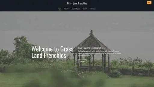 Screenshot of