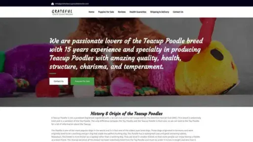 Screenshot of