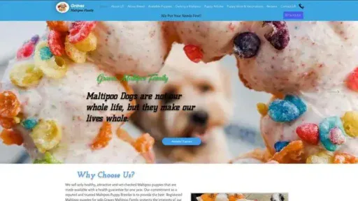 Screenshot of
