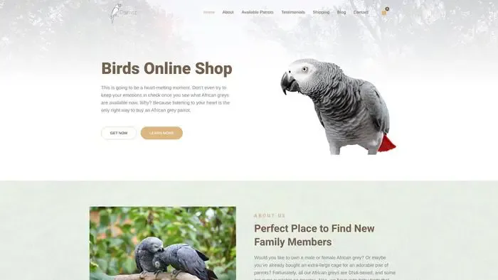 Screenshot of