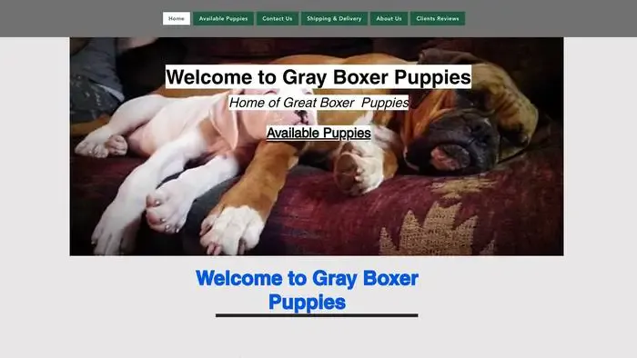 Screenshot of