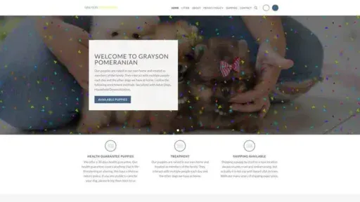 Screenshot of
