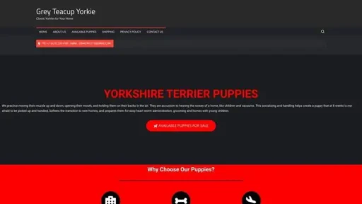 Screenshot of
