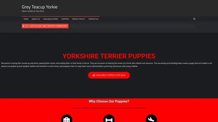 Screenshot of