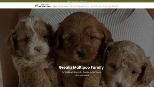Screenshot of||