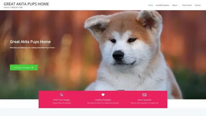 Screenshot of
