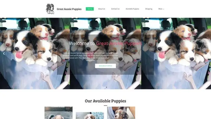 Screenshot of
