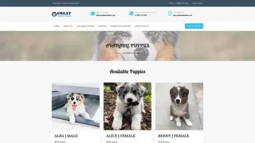 Screenshot of