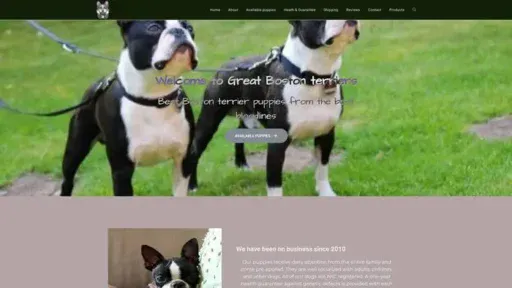 Screenshot of