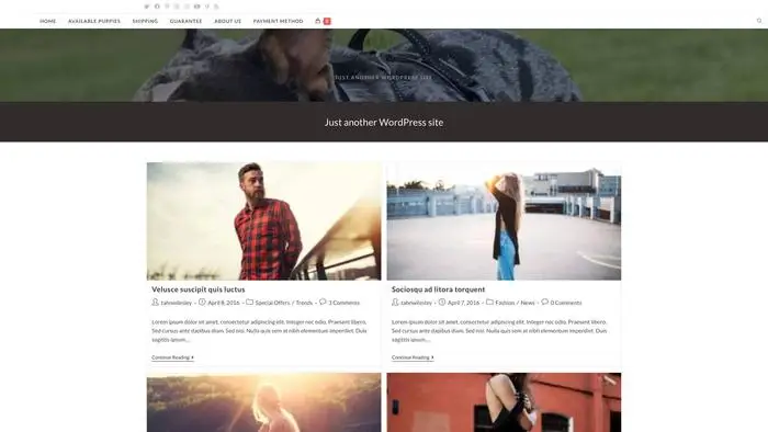 Screenshot of