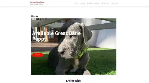 Screenshot of