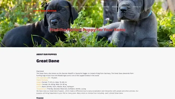 Screenshot of
