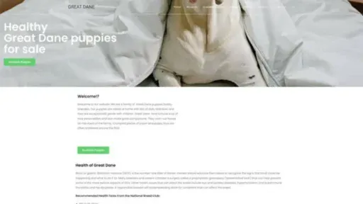 Screenshot of||