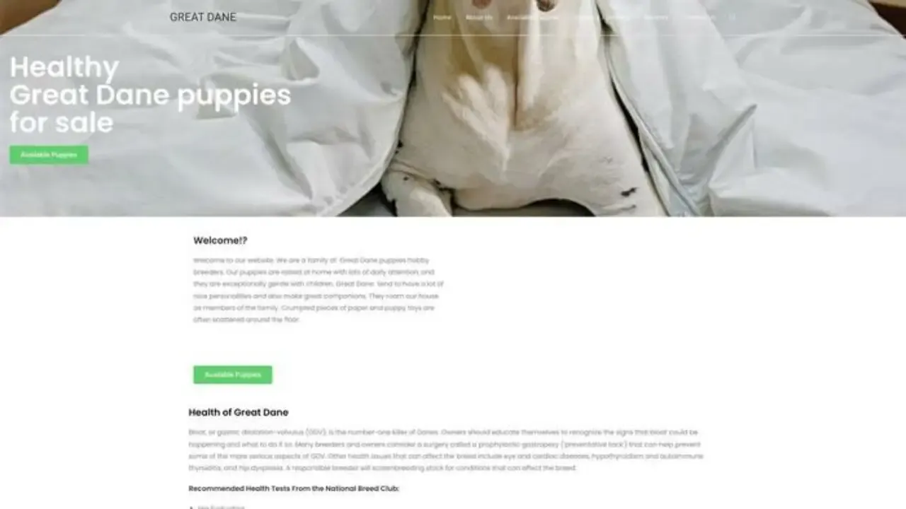 Screenshot of||