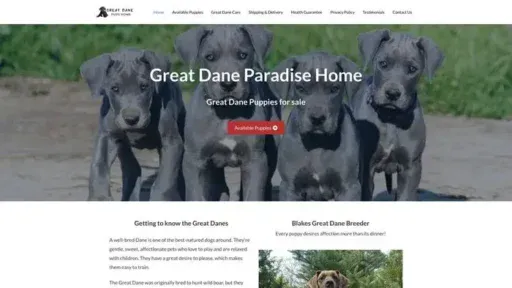 Screenshot of
