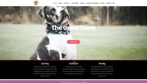 Screenshot of