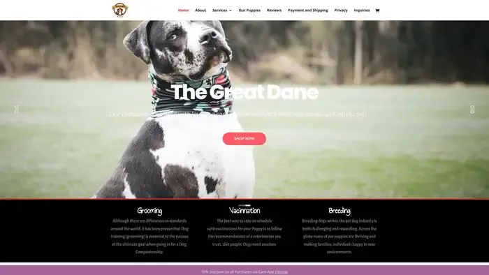 Screenshot of
