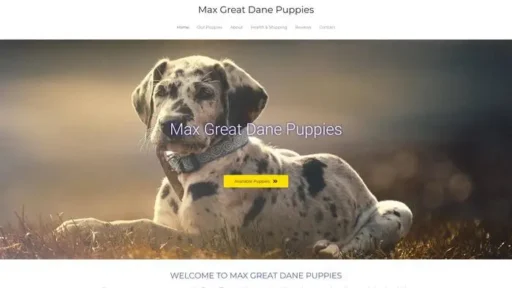 Screenshot of
