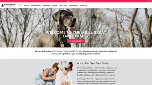 Screenshot of
