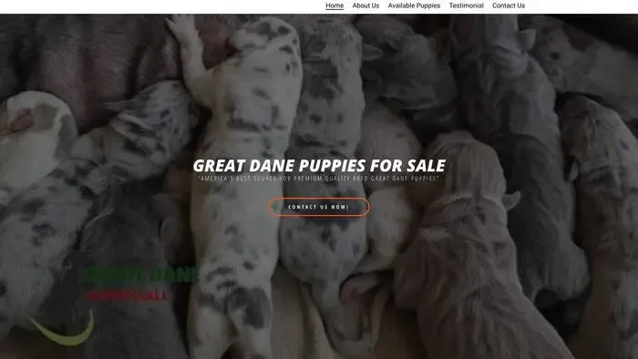 Screenshot of