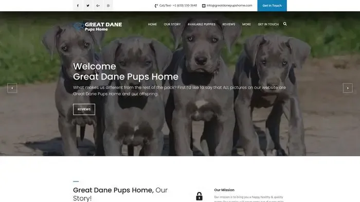 Screenshot of